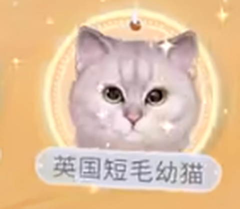 我和我的猫[图1]