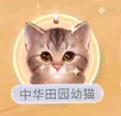 我和我的猫[图2]