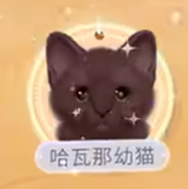 我和我的猫[图3]