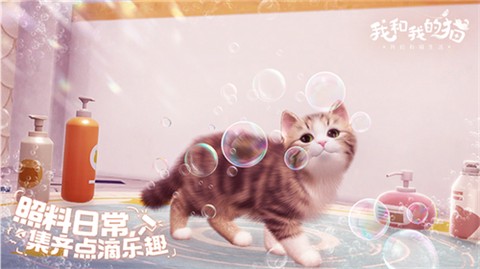 我和我的猫图1
