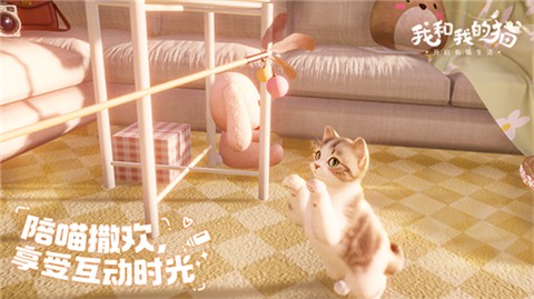 我和我的猫图2