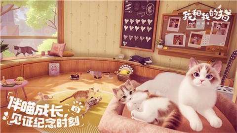 我和我的猫图3