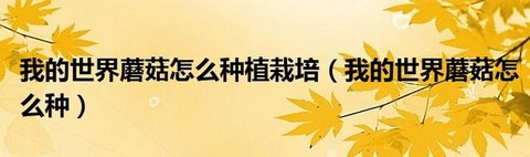我的世界怎么种植蘑菇