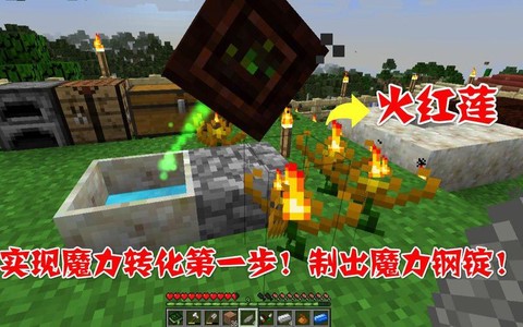 我的世界火红莲怎么做[图2]