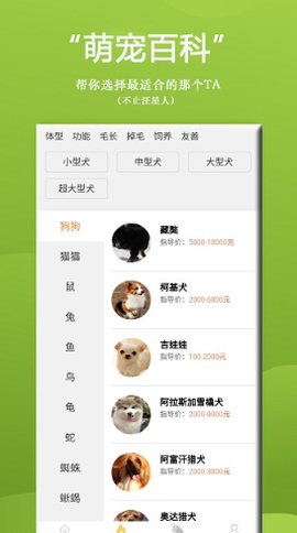 狗狗Bing商城[图1]