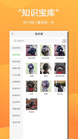 狗狗Bing商城图2
