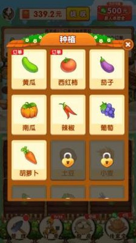 农家小院图3