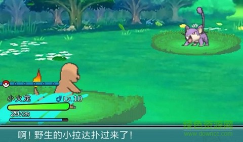 宠物对决时代[图1]