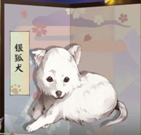 阴阳师银狐犬怎么获得[图2]