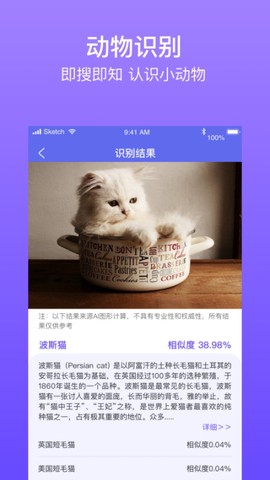 拍拍识图取字图3