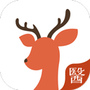 小鹿医生版