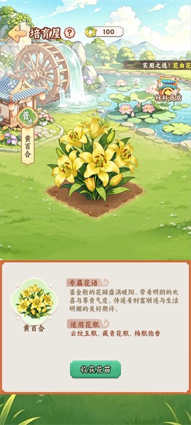 解忧花店[图3]