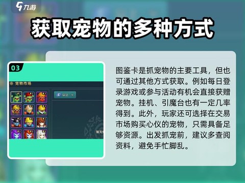 魔力宝贝道具用什么宠[图1]