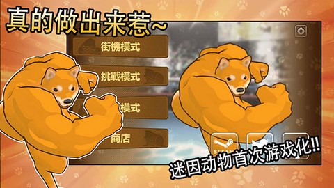 动物之斗图3