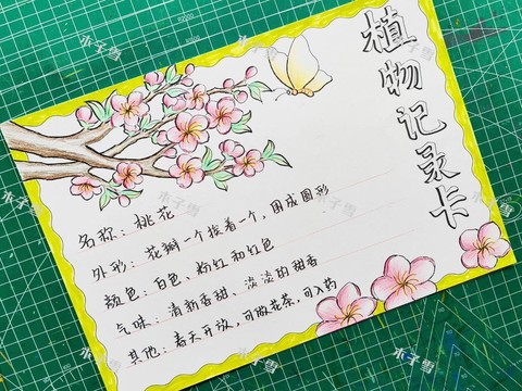 迷你世界桃花怎么获得[图2]