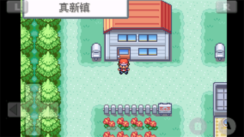 口袋妖怪火红图2