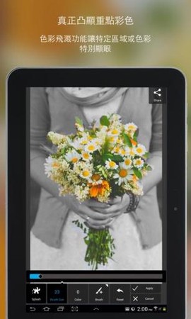 Pixlr图3