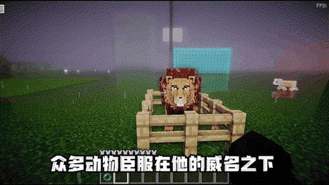 我的世界狮子怎么驯服[图2]