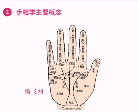 手相通[图5]