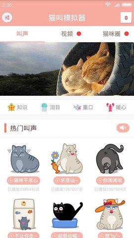 猫叫模拟器[图1]