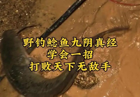 九阴真经钓鱼怎么钓[图1]