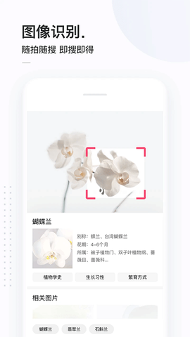 简单搜索图3