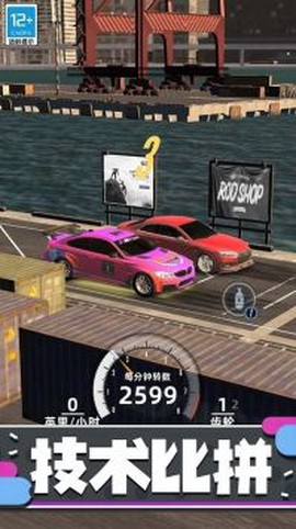 狂野赛车3D图2
