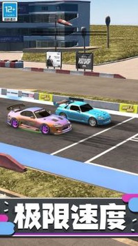 狂野赛车3D图3