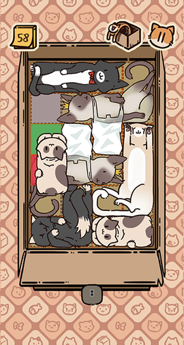 盒子猫[图4]