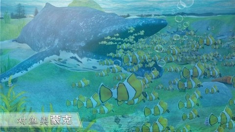 全民养鲨鱼[图1]