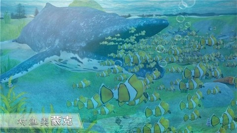全民养鲨鱼图3
