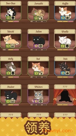 猫咪咖啡馆图2