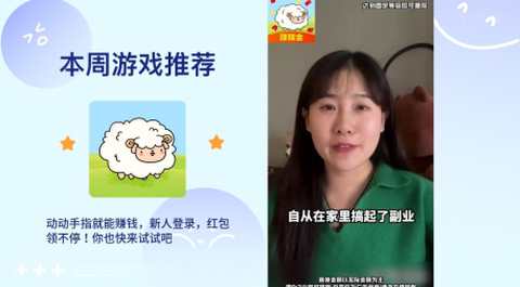 羊了个羊极速版图1