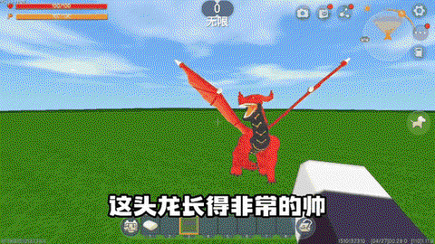 迷你世界飞龙吃什么