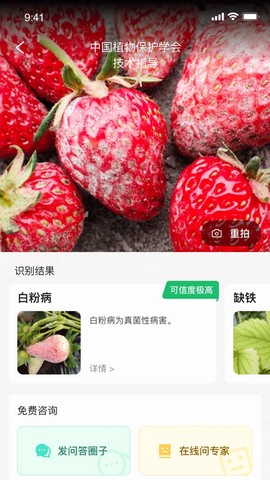 慧植大当家图2
