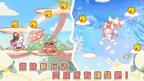 我的可爱猫咪[图1]