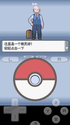 口袋妖怪：珍珠[图2]