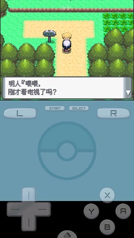 口袋妖怪：珍珠[图8]