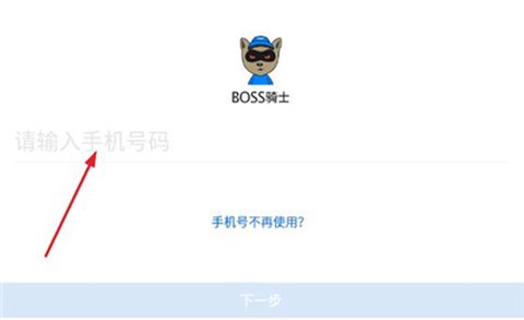 boss骑士图3