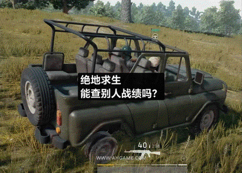 绝地求生如何查战绩[图2]