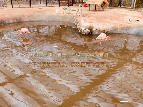 绝地逢生怎么捡东西