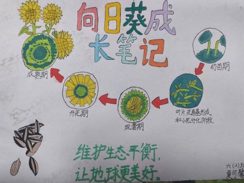 绝地逢生怎么捡东西[图1]