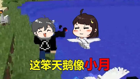 我的世界天鹅怎么做