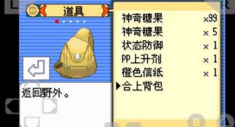 口袋妖怪漆黑的魅影图3