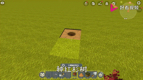 迷你世界树怎么长得快