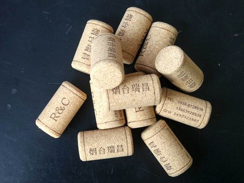 永恒纪元软木塞是什么[图2]