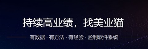 美业猫[图2]
