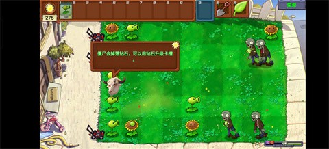 PvZ新指导[图11]
