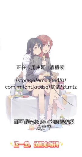 小米主题安装器+图2