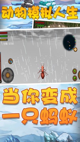 动物模拟人生[图1]